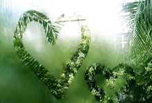 意大利杯亚特兰大对阵卡利亚里，谁能更胜一筹？